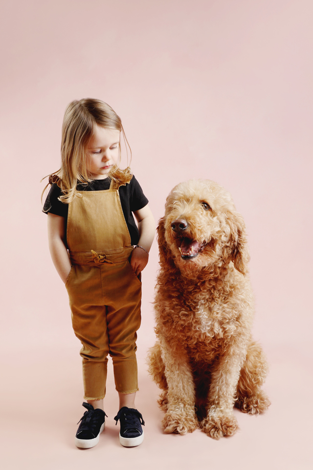Pet Session