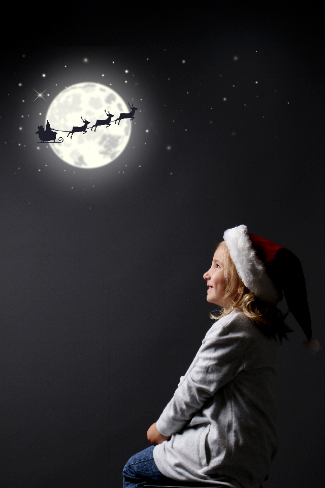 Seasonal Portrait